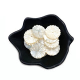 3pcs Mother Pearl Shell Carved Round Flower Earrings