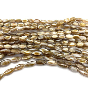 Natural Brown Horseshoe Snail Rice Beads 5-12mm DIY Jewelry Making
