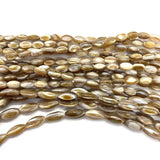 Natural Brown Horseshoe Snail Rice Beads 5-12mm DIY Jewelry Making