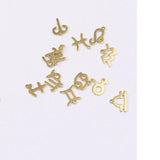 12pcs Stainless Steel Tiny 12 Constellation Charms Pendant DIY Jewelry Kit