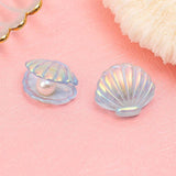 10pcs Plastic Clam Shell Pearl Charms DIY Jewelry Making