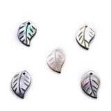 Leaf Shape Shell Charm Beads for Jewelry Making DIY Necklaces Earrings