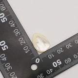 5Pcs Shell Shape Beads DIY Pearl Style Making Necklace Bracelet Jewelry