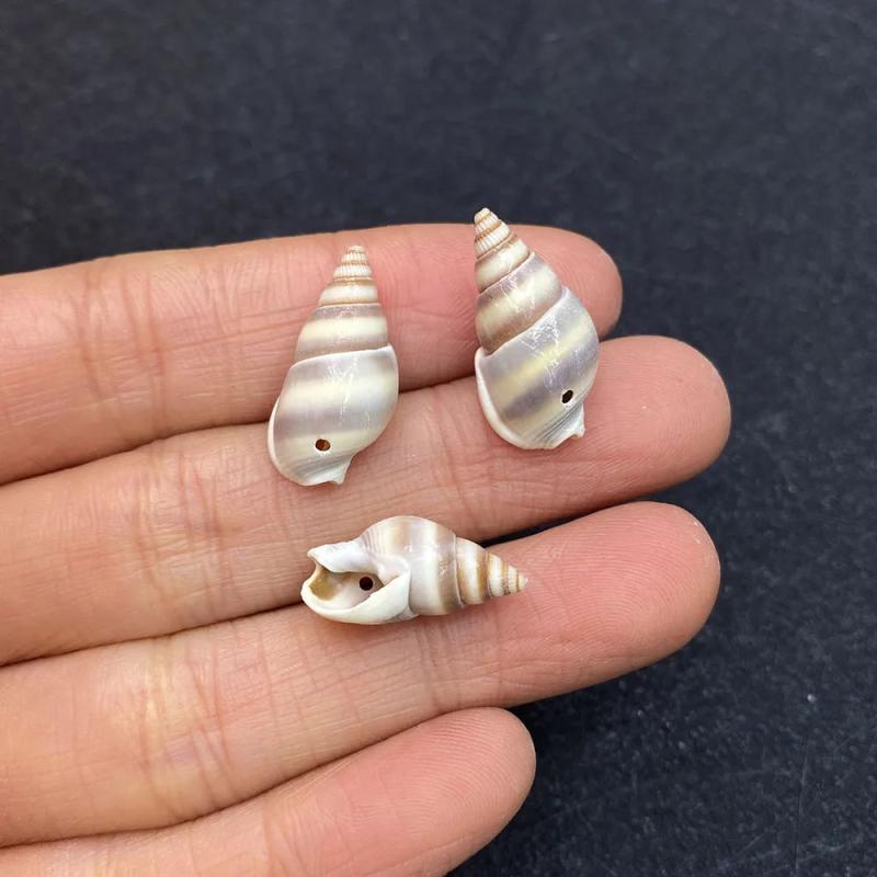 10pcs Natural Shell Conch Pendant Beach Decoration DIY Necklace Accessorie