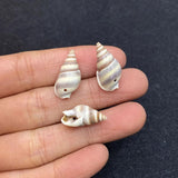 10pcs Natural Shell Conch Pendant Beach Decoration DIY Necklace Accessorie