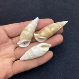10pcs Natural Shell Conch Pendant Beach Decoration DIY Necklace Accessorie