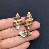 10pcs Natural Shell Conch Pendant Beach Decoration DIY Necklace Accessorie