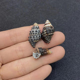 10pcs Natural Shell Conch Pendant Beach Decoration DIY Necklace Accessorie
