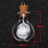 Small Glass Bottles with Cork Stoppers 5PCS/LOT