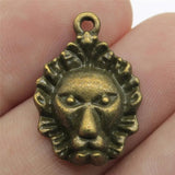 10pcs 24x16mm Lion Charms Jewelry Making Antique Silver Bronze Plated