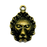 10pcs 24x16mm Lion Charms Jewelry Making Antique Silver Bronze Plated