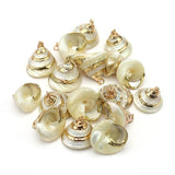5Pcs Conch Sea Shell Pendant Bohemian Snail Necklace