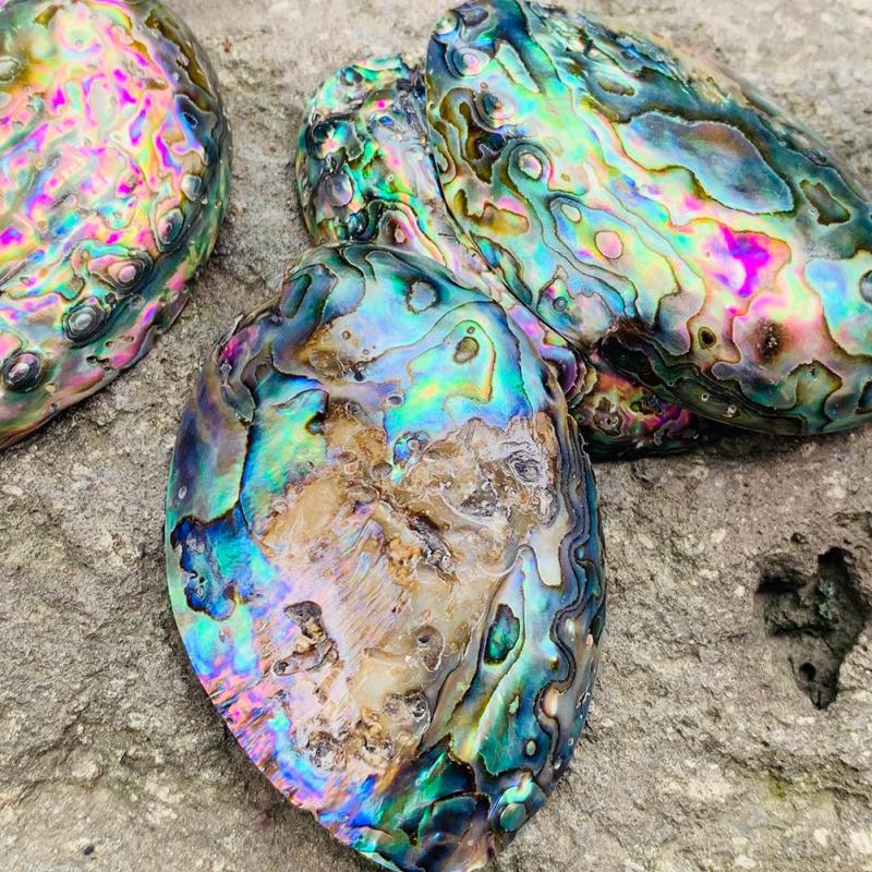 2pcs Abalone Paua Shell Pendants Sea Hand Craft DIY Jewelry Making