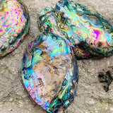 2pcs Abalone Paua Shell Pendants Sea Hand Craft DIY Jewelry Making