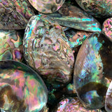 2pcs Abalone Paua Shell Pendants Sea Hand Craft DIY Jewelry Making
