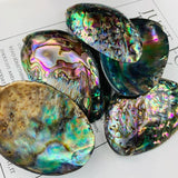 2pcs Abalone Paua Shell Pendants Sea Hand Craft DIY Jewelry Making
