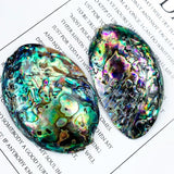 2pcs Abalone Paua Shell Pendants Sea Hand Craft DIY Jewelry Making