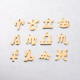 Fnixtar 15mm DIY Constellation Charms Twelve Zodiac Charms 12pcs
