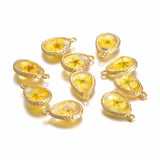 10Pcs Copper Water Drop Glass Dried Flower Charms DIY Jewelry Making