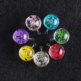 Crystal Ball Dried Flower Pendant Charm Necklace