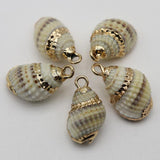 Shell Pendant Snail Conch Charms for Jewelry Making 1-2cm
