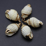 Shell Pendant Snail Conch Charms for Jewelry Making 1-2cm