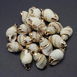 Shell Pendant Snail Conch Charms for Jewelry Making 1-2cm