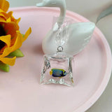 10pc Coral Fish Resin Charms Ocean Small Fish Jewelry Pendant DIY Material