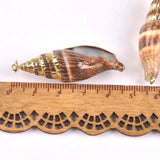 5pcs Natural Spiral Shell Charms Pendants Conch Plated Rose for jewelry making