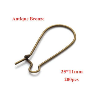 Silver Stainless Steel French Lever Earring Hooks for DIY Jewelry Making