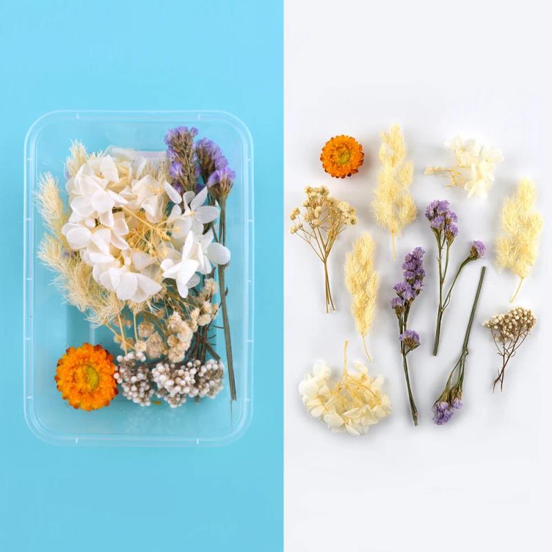 1Box Natural Dried Flowers For Candle Making, Resin Craft