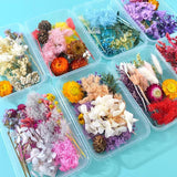 1Box Natural Dried Flowers For Candle Making, Resin Craft