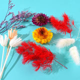 1Box Natural Dried Flowers For Candle Making, Resin Craft