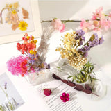 1Box Natural Dried Flowers For Candle Making, Resin Craft
