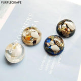Resin Shell DIY Jewelry Making Material 6pcs