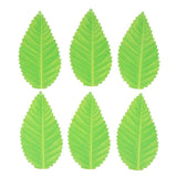 200Pcs Green Leaves Bento Baran Sashimi Sushi Leaves Party Supplies