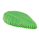 200Pcs Green Leaves Bento Baran Sashimi Sushi Leaves Party Supplies