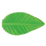 200Pcs Green Leaves Bento Baran Sashimi Sushi Leaves Party Supplies