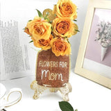Mother's DIY Resin Moulds for Hand-Making Ornaments