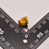 1 Pcs/Lot 19mm*13mm Yellow Rose Real Flower Shape Accessories