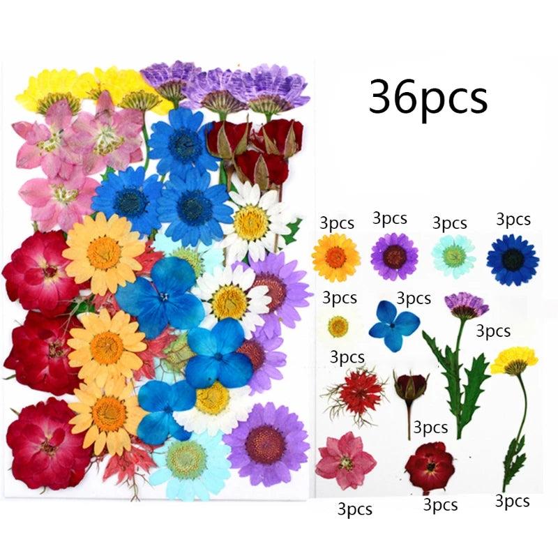 Dried Flower UV Resin Stickers 3D Dry Beauty Decal