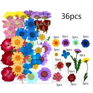 Dried Flower UV Resin Stickers 3D Dry Beauty Decal