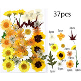 Dried Flower UV Resin Stickers 3D Dry Beauty Decal