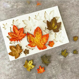 3D Silicone Baking Mold Butterfly Maple Leaf Mould for Cake Decorating