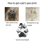 Custom Pet Paw Print Necklace with Name - Unisex Stainless Steel Jewelry