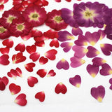 Rose Dried Flower Embossed Plant Specimens DIY Epoxy Material