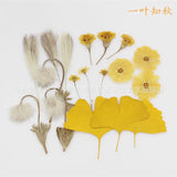 Dried Flower Embossed Photo Frame & DIY Mobile Case Kit