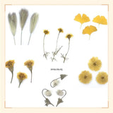 Dried Flower Embossed Photo Frame & DIY Mobile Case Kit