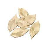 10Pcs Brass Textured Leaf Charm for DIY Jewelry Making