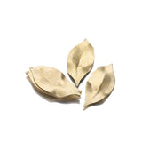 10Pcs Brass Textured Leaf Charm for DIY Jewelry Making